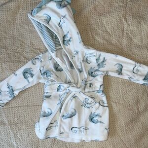 Cozy Blue Dinosaur Baby Robe